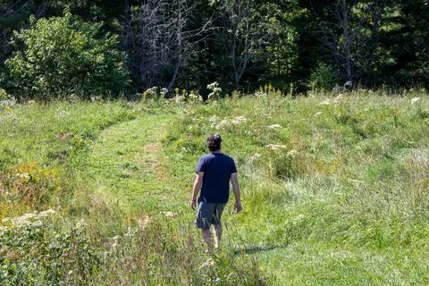 Man walking in field Stock Photos