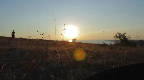A man walking in the field at sunset Stock Footage 49687257
