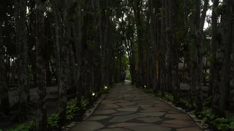 A man walking on a footpath in the Park Stock Footage 91328744