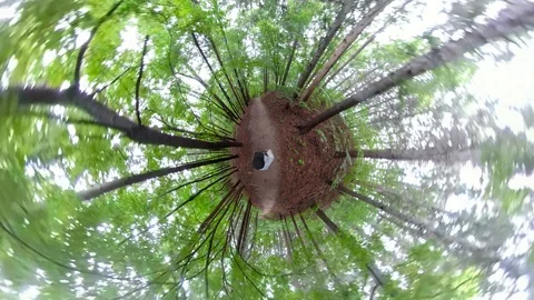 A man walking in forest with 360 degrees camera. Stock-Footage 121799786