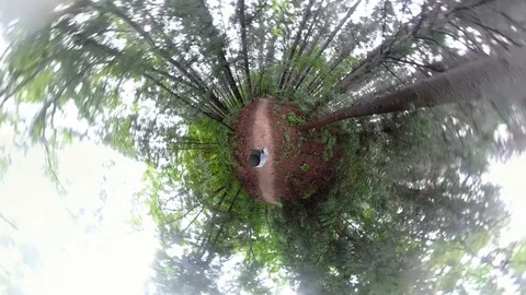 A man walking in forest with 360 degrees camera. Stock-Footage 121799810