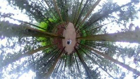 A man walking in forest with 360 degrees camera. Stock-Footage 121799904