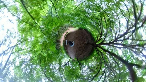 A man walking in forest with 360 degrees camera. Stock-Footage 121800096