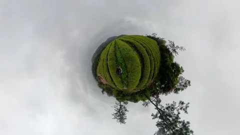 A man walking in forest with 360 degrees camera. Stock-Footage 121800159