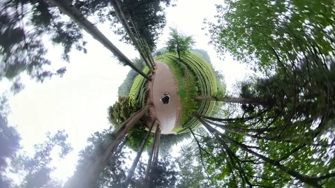 A man walking in forest with 360 degrees camera. Video stock 121800225