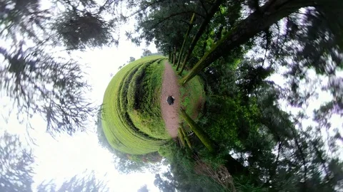 A man walking in forest with 360 degrees camera. Video stock 121800428