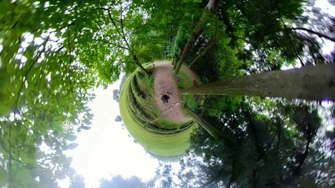 A man walking in forest with 360 degrees camera. Video stock 121800458