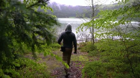 Man walking from the forest and take photograph of lake landscape Stock Footage 150593248