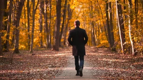 Man walking in the forest, Autumn Video stock 83012981