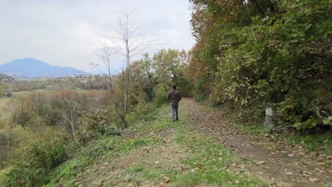 Man walking forest autumn Stock-Footage 239277313