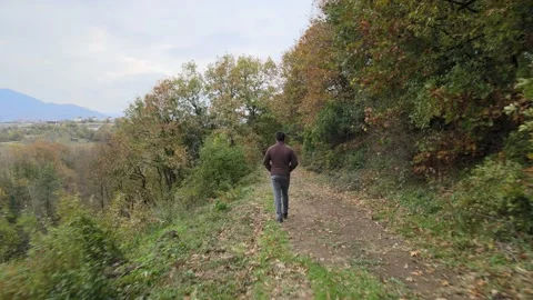 Man walking forest autumn 스톡 동영상 239277470