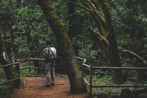 Man walking in the forest with backpack. Wild adventure tourist travel life.. Foto stock