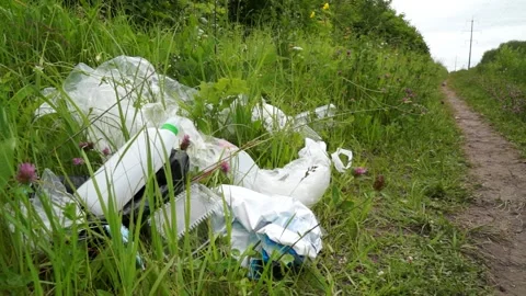 A man walking in the forest drinks and throws away his empty bottle  Stock Footage 133445162