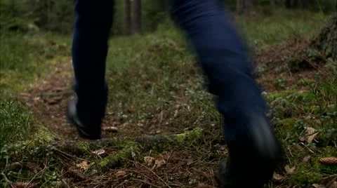 A man walking in the forest Stock Footage 11333045