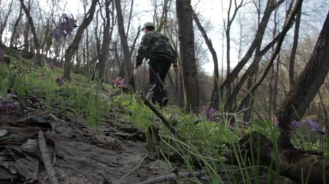 Man Walking In The Forest Video stock 62536752