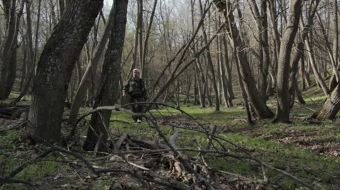 Man Walking In The Forest Stock Footage 62550760