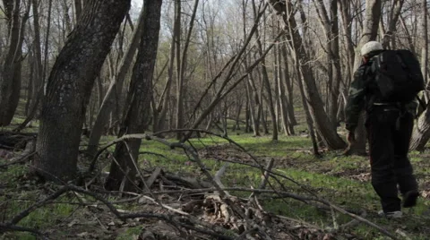 Man Walking In The Forest Stock Footage 62551030
