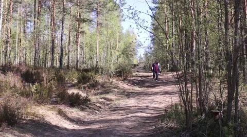 Man Walking in the Forest Stock Footage 64713615