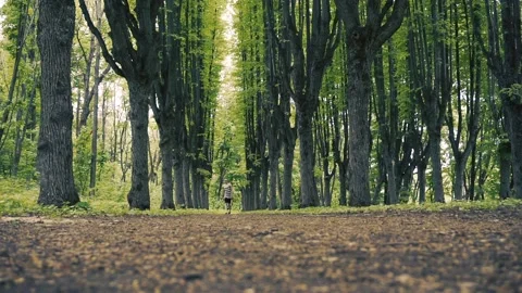Man is walking in forest Video stock 89522546