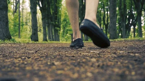 Man is walking in forest Video stock 89522681