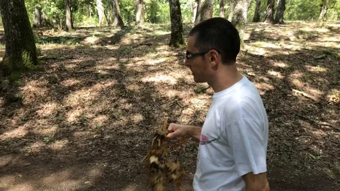 Man Walking In The Forest Video stock 94926881