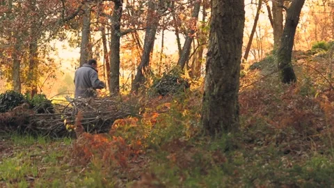MAN WALKING IN THE FOREST Stock Footage 100466360