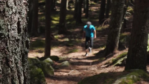 Man walking in the forest Stock Footage 114177091
