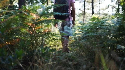 A man walking on forest Vídeos de archivo 116717350