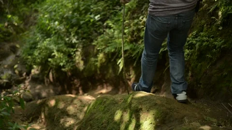 Man Walking in a Forest Stock Footage 147102579