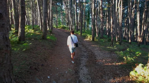 Man walking in the forest Stock Footage 168914626