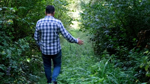 Man walking in forest Stock Footage 183649791