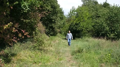 Man walking in forest Video stock 183651124