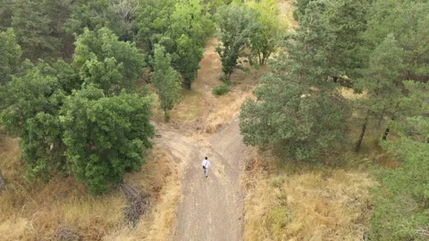 Man walking forest Vídeo Stock 240766439