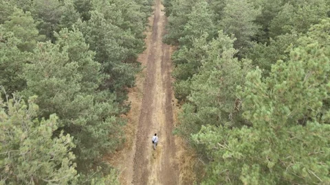 Man walking forest Stock Footage 240766560