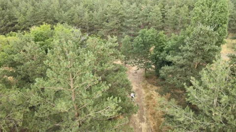 Man walking forest Video stock 240766776
