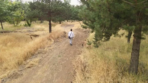Man walking forest Stock Footage 240766929