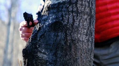 Man walking in forest 動画素材 260341139