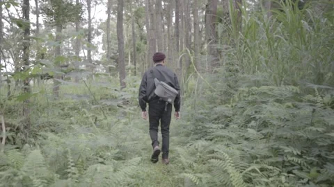 Man walking into forest Stock Footage 270339218