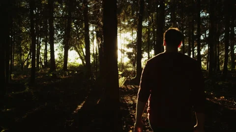 Man Walking Into Forest Glidecam 스톡 동영상 34373079