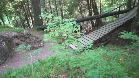 Man walking in the forest an going through the wooden bridge Stock Footage 103515632