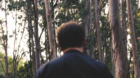 A MAN WALKING IN THE FOREST FROM HIS BACK Stock Footage 94231491