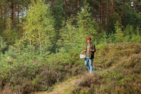 Man walking on a forest path with a basket, picking a wild mushroom. This a.. Stock Photos