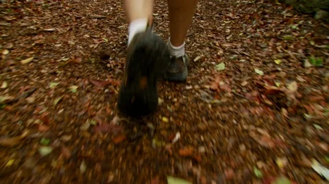 Man walking on forest path Video stock 54593040