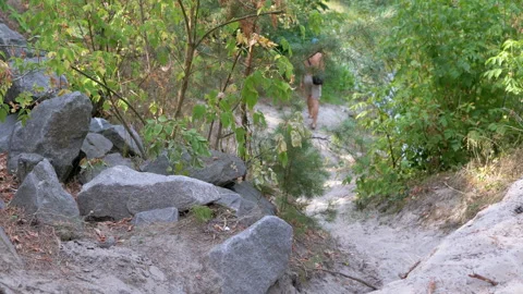 Man Walking on a Forest Path Stock Footage 293280569