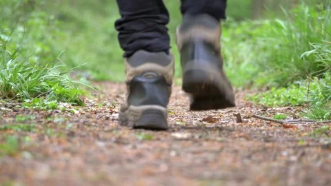Man walking on Forest Path. Man Hiking on Woodland Trail Slow Motion Stock Footage 306515988