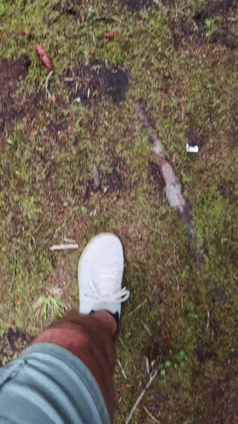 Man Walking on a Forest Path Wearing Sneakers Vidéo 315358805