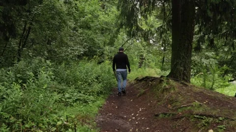 Man walking in the forest, rear view from the back, immersing in outdoor tr.. Stock Footage 297247376