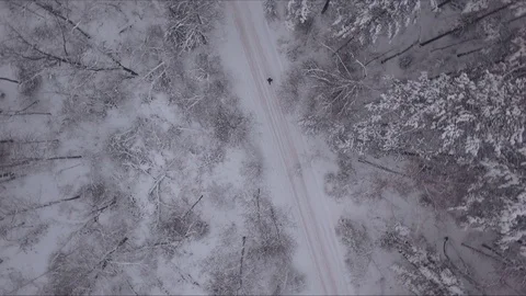 Man walking on forest road Stock Footage 84984969