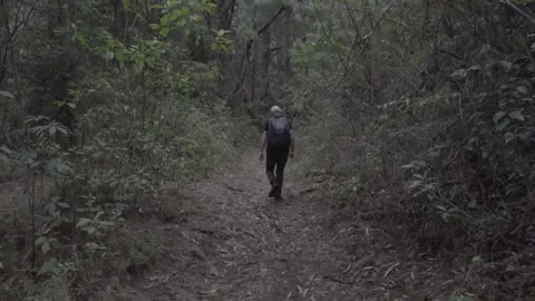 Man walking in a forest trail with a backpack Stockbeeldmateriaal 242352793