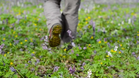 Man walking on forest trail. Followfocus. Stock Footage 63117552